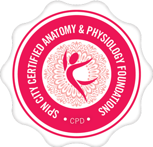 Spin City Certified Anatomy And Physiology Foundations CPD logo